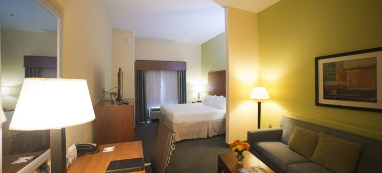 亚特兰大东 - 利松尼亚智选假日酒店及套房(Holiday Inn Express & Suites ATLANTA EAST - LITHONIA by IHG)图片