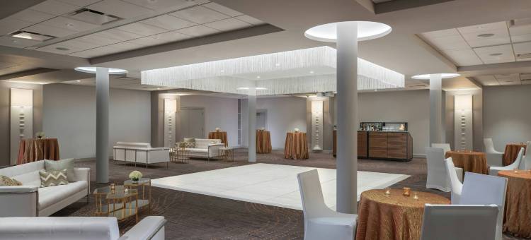 德梅因萨弗里万丽酒店(Renaissance des Moines Savery Hotel)图片