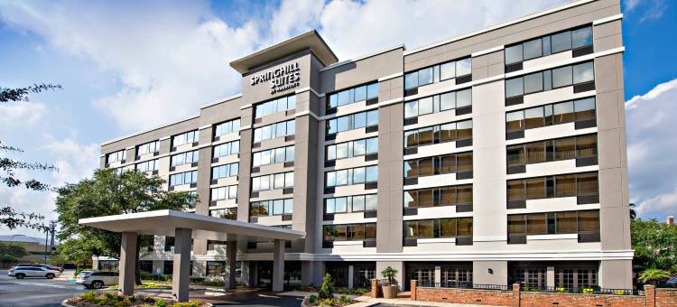 休斯顿医疗中心／nrg 公园万豪SpringHill酒店(SpringHill Suites Houston Medical Center/NRG Park)图片