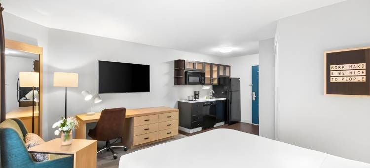 奥斯汀南索尼斯塔简单套房酒店(Sonesta Simply Suites Austin South)图片