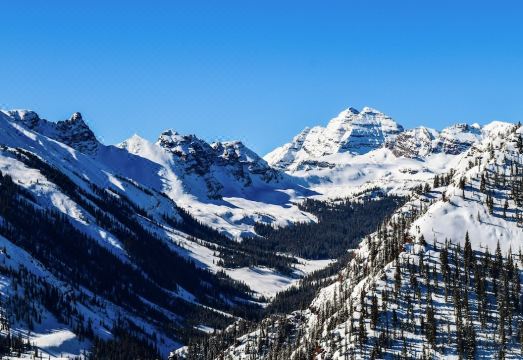 790Whall 1 Bedroom Condo Hotel Overview