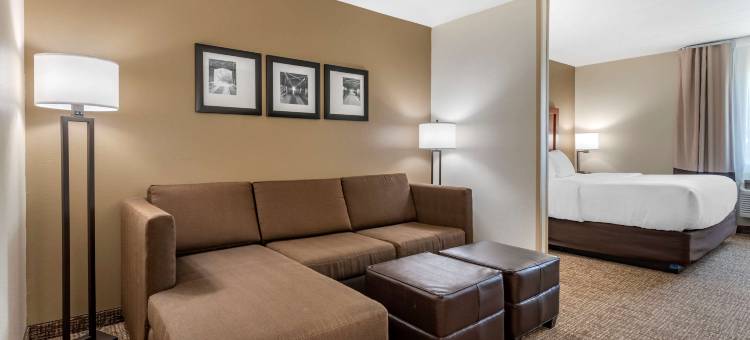 舒适酒店(Comfort Inn)图片