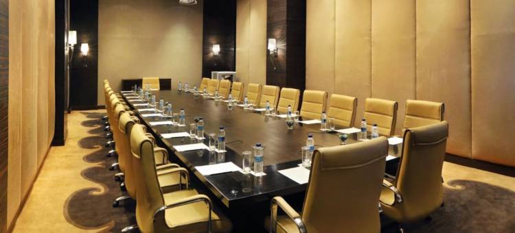 新德里帕池豪尔丽笙酒店(Radisson Hotel New Delhi Paschim Vihar)图片