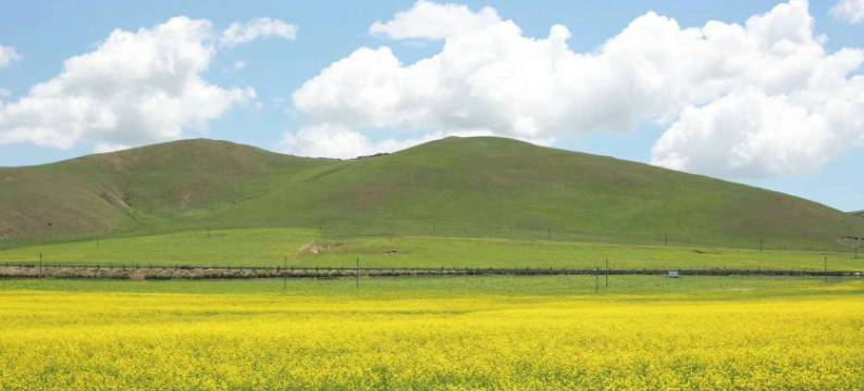 丰宁刘伟农家院图片