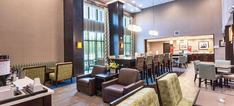 北德卢斯商场区欢朋套房酒店(Hampton Inn & Suites Duluth North/Mall Area)图片