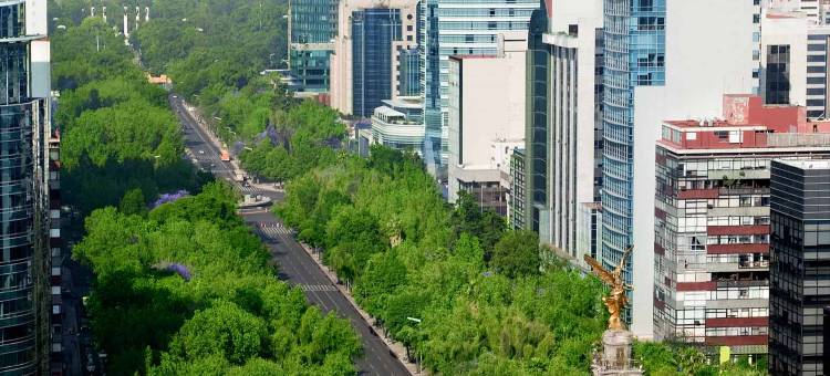 宜必思尚品墨西哥城改革大道酒店(ibis Styles Mexico Reforma)图片