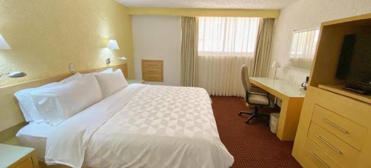 Holiday Inn 莫雷利亚(Holiday Inn MORELIA by IHG)图片