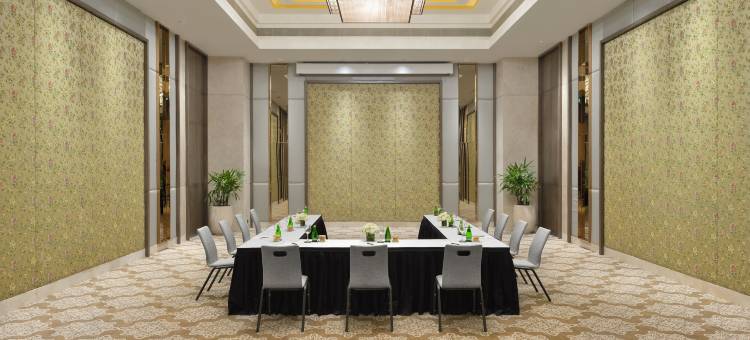 塔吉天际线艾哈迈达巴德酒店(Taj Skyline Ahmedabad)图片