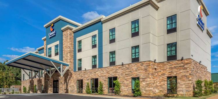 舒适套房酒店(Comfort Inn & Suites)图片