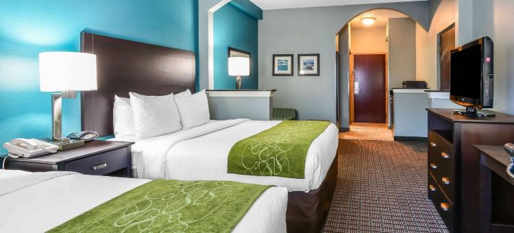 舒适套房酒店-坦帕布兰登(Comfort Suites Tampa - Brandon)图片