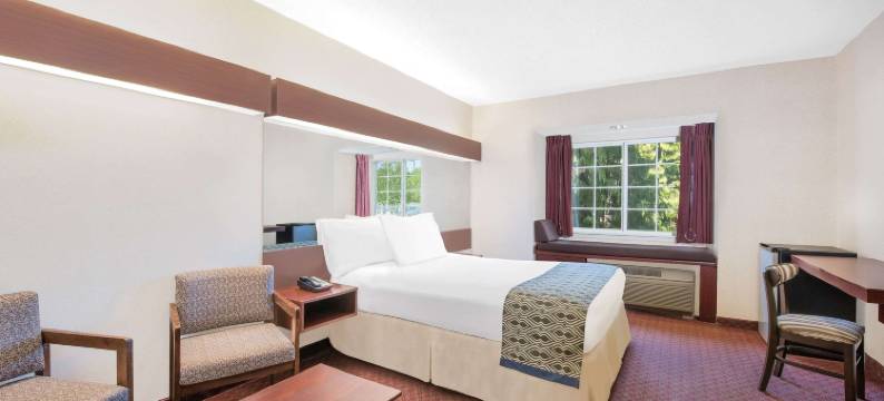 汉堡温德姆麦客达套房酒店(Microtel Inn & Suites by Wyndham Hamburg)图片