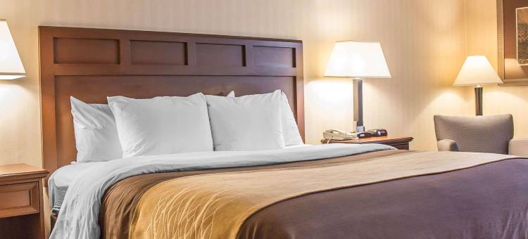 韦瑟斯菲尔德哈特福德舒适酒店(Comfort Inn Wethersfield - Hartford)图片