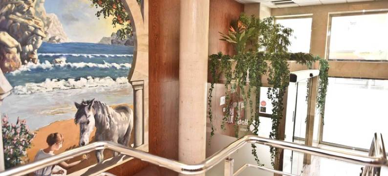 阿德索比亚酒店(Hotel Adsubia)图片