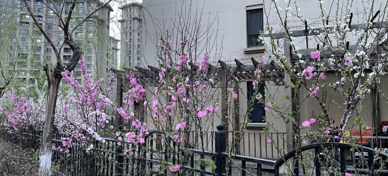 Miko酱要早点毕业公寓(永达路分店)图片