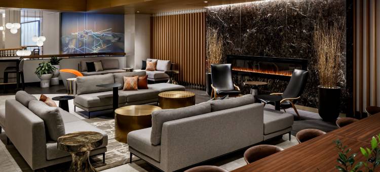 蒙特利尔山普林城堡万豪酒店(Montreal Marriott Chateau Champlain)图片