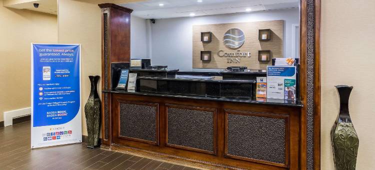 舒适酒店-彭沙科拉大学区(Comfort Inn Pensacola - University Area)图片