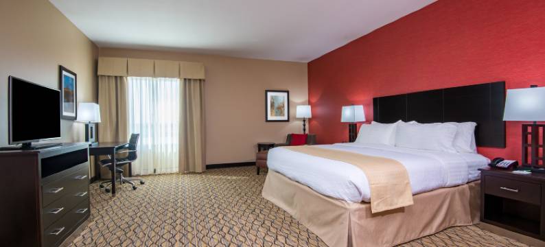 Holiday Inn 萨莱纳东(Holiday Inn SALINA by IHG)图片