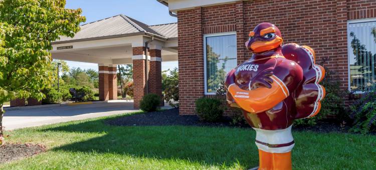 布莱克斯堡大学区舒适酒店(Comfort Inn Blacksburg University Area)图片