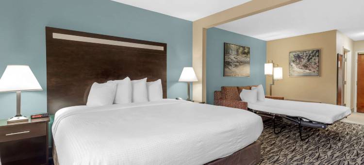 Best Western Plus McDonough Inn  Suites图片