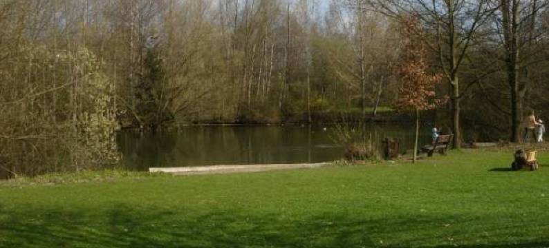 功德尔酒店(Hotel Gondel)图片