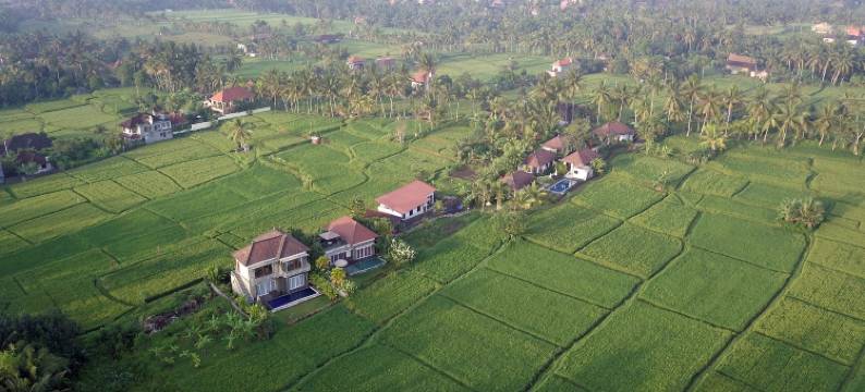 萨马拉酒店(The Samara Villas & Restaurant)图片