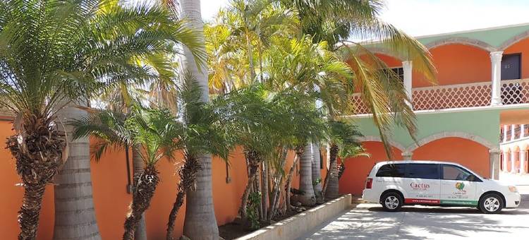 卡布斯仙人掌旅馆(Cactus Inn Los Cabos)图片