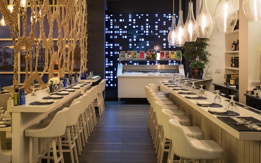 Hotel Hayden New York Over view