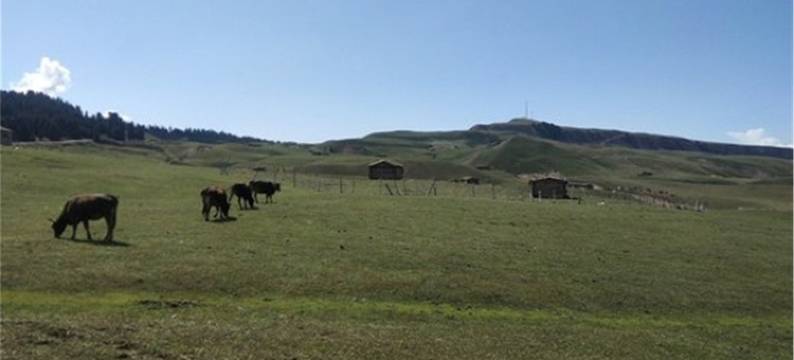 甘泉雨岔大峡谷王家大院客栈(雨甘路分店)图片