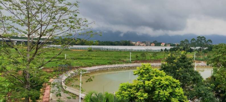 清远会友之家民宿图片