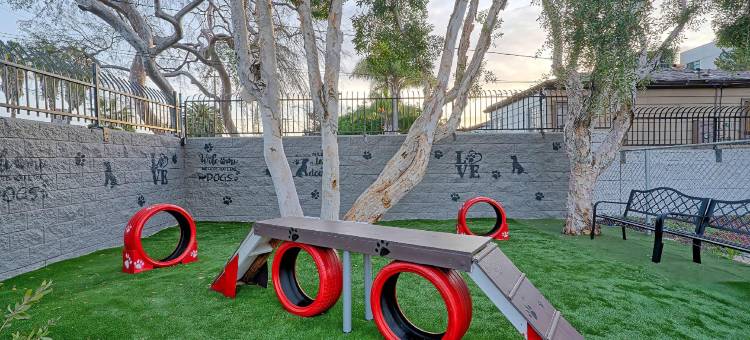洛杉矶LAX6号汽车旅馆(Motel 6 Los Angeles, CA - Los Angeles - LAX)图片