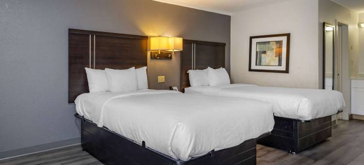 东北 I-77 郊区开间(Suburban Studios Rock Hill Northeast I-77)图片