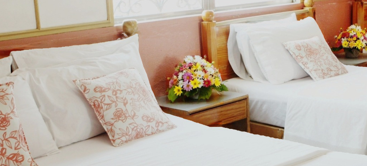 尼科尔斯机场酒店(Nichols Airport Hotel)图片