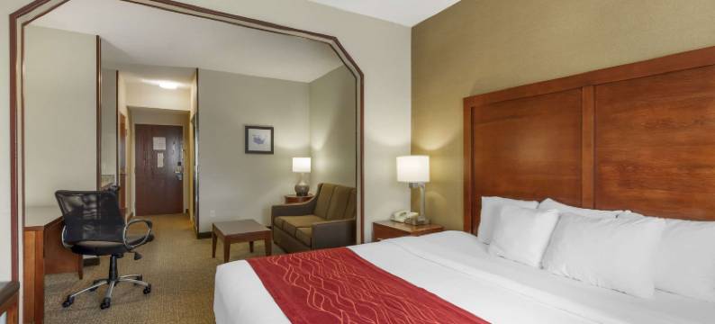 舒适套房酒店(Comfort Inn & Suites)图片