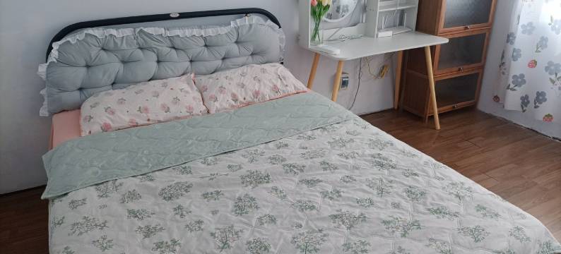 小鹿姐公寓(商场东街分店)图片