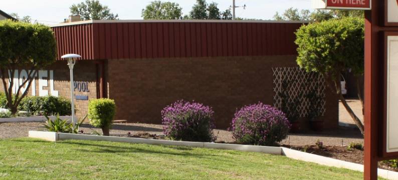 茶花汽车旅馆(Camellia Motel)图片