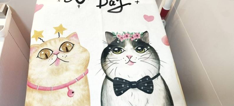 小叁岁公寓(五圣街分店)图片