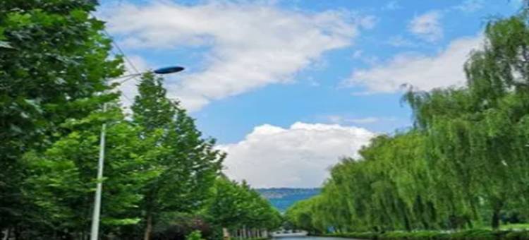 江阴恒大忠义街情公寓(虹桥南路分店)图片