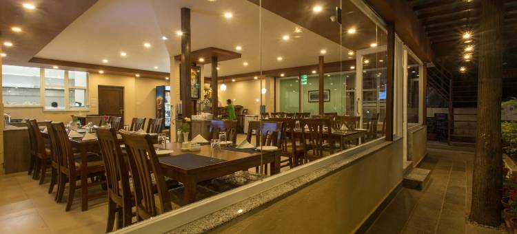 加德满都绿洲住宿加早餐旅馆(Oasis Kathmandu Hotel)图片