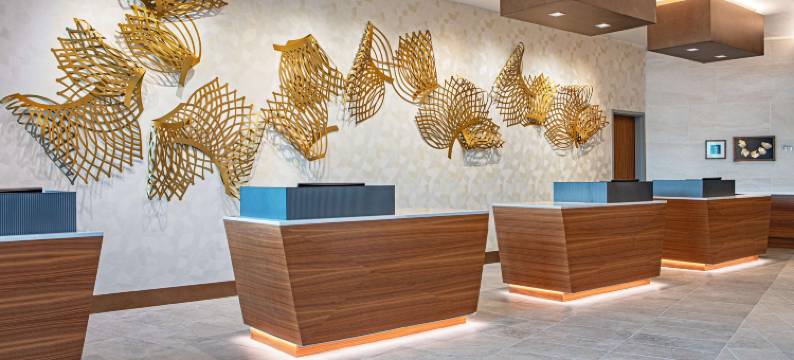 华盛顿特区国会山皇家索内斯塔酒店(The Royal Sonesta Washington DC Capitol Hill)图片