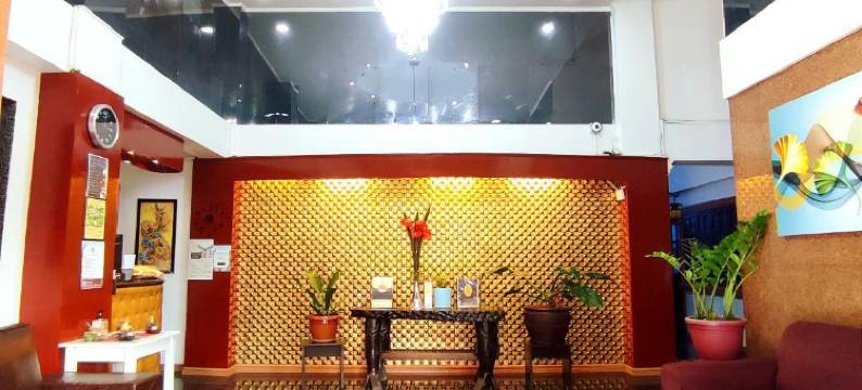 纽约曼哈顿套房酒店(NYC Manhattan Suites)图片