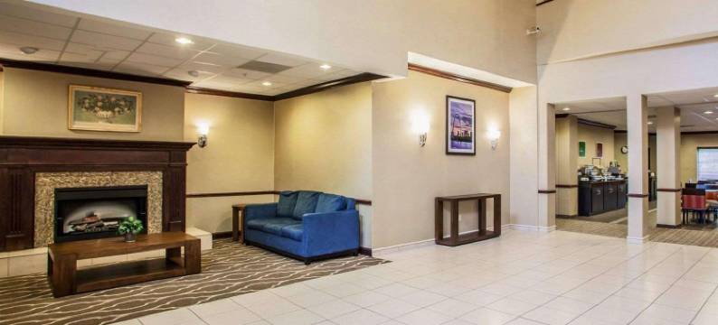 圣路易斯奥法伦舒适套房酒店(Comfort Inn & Suites St Louis-O'Fallon)图片