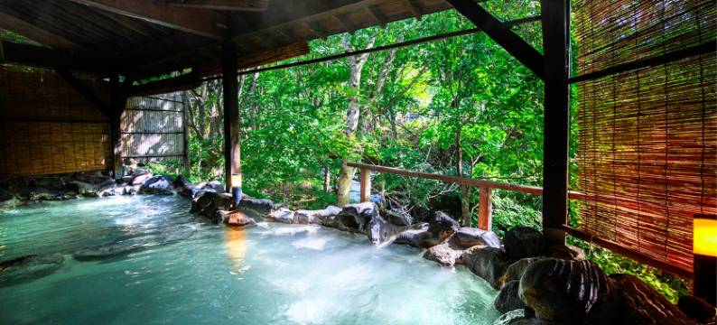 万代名汤博纳里之森度假村(Takamiya Hotel Bonari No Mori)图片