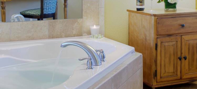 萨凡纳/市中心欢朋酒店兼套房(Hampton Inn & Suites Savannah/Midtown)图片