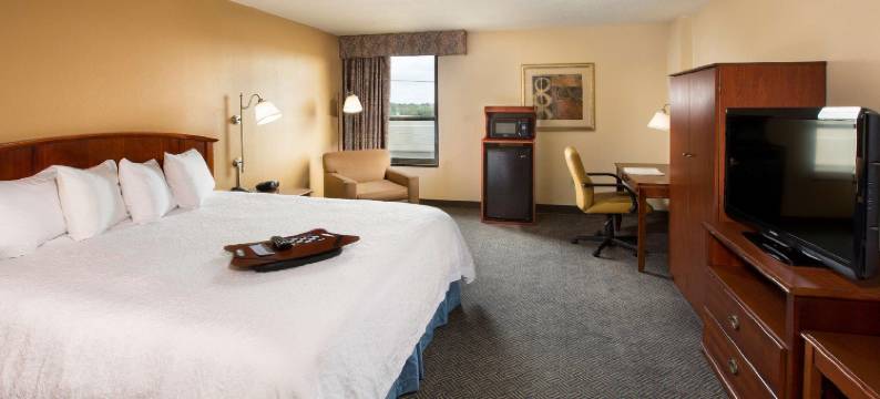 希尔顿欢朋酒店-梅塔里(Hampton Inn Metairie)图片