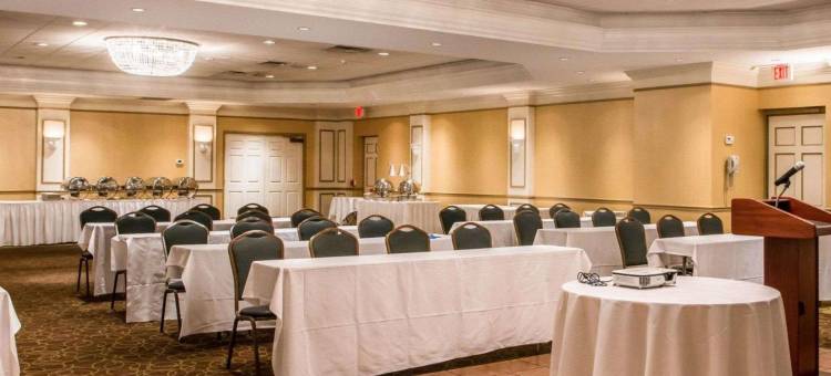 舒适酒店及套房(Comfort Inn & Suites)图片