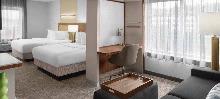匹兹堡南部沃克斯万豪SpringHill酒店(SpringHill Suites Pittsburgh Southside Works)图片