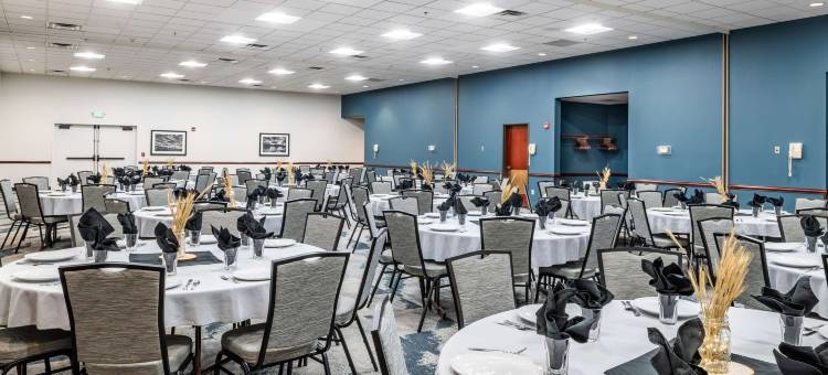 维斯塔机场贝斯特韦斯特酒店(Best Western Vista Inn at the Airport)图片