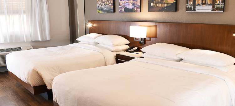 印第安纳波利斯东万豪德尔塔酒店(Delta Hotels Indianapolis East)图片