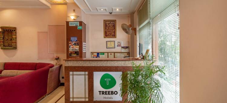 Treebo 纳特拉杰 - 齐普尔(Treebo Natraj - Jaipur)图片