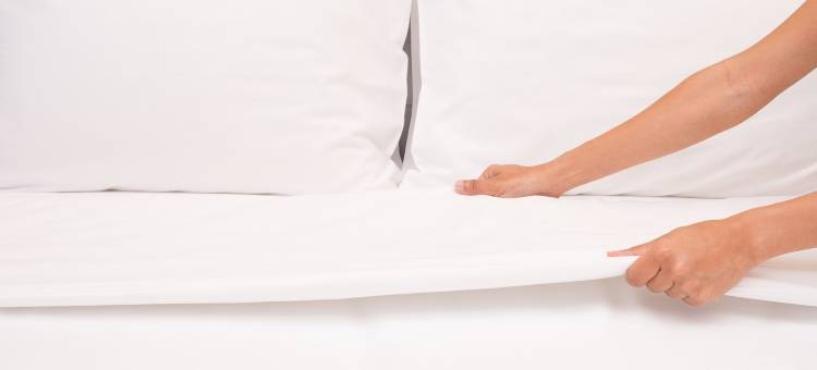 舒伦堡行政旅馆(Executive Inn Schulenburg)图片